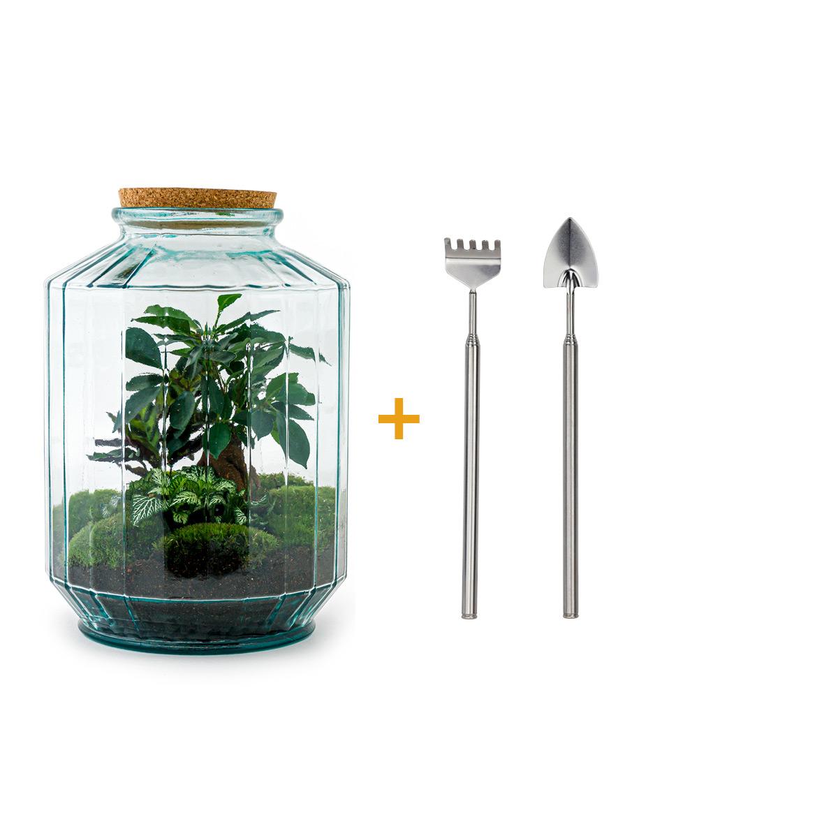 DIY terrarium - Botanical garden XL - ↕ 35 cm - Rake + Shovel