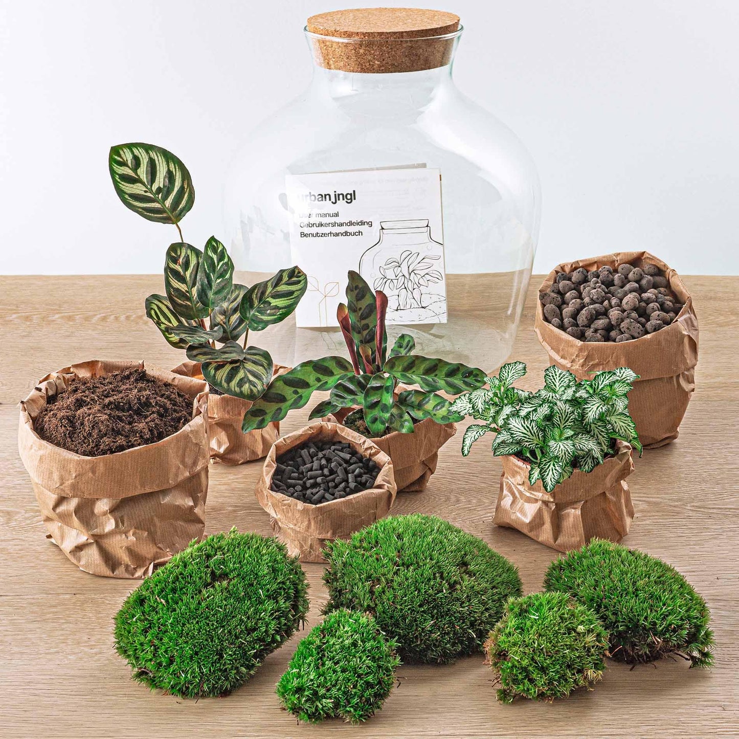 DIY terrarium - Fat Joe - ↕ 30 cm - Rake + Shovel