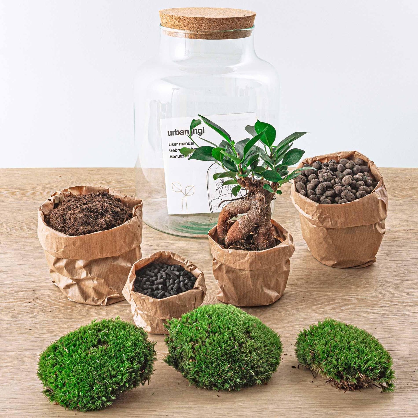 DIY terrarium - Milky met bonsai - ↕ 30 cm - Rake + Shovel