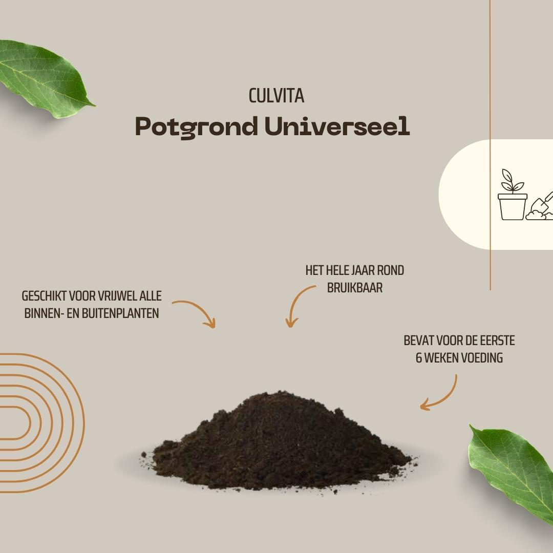 Universelle Blumenerde inklusive 2 Monate Pflanzennahrung 40L