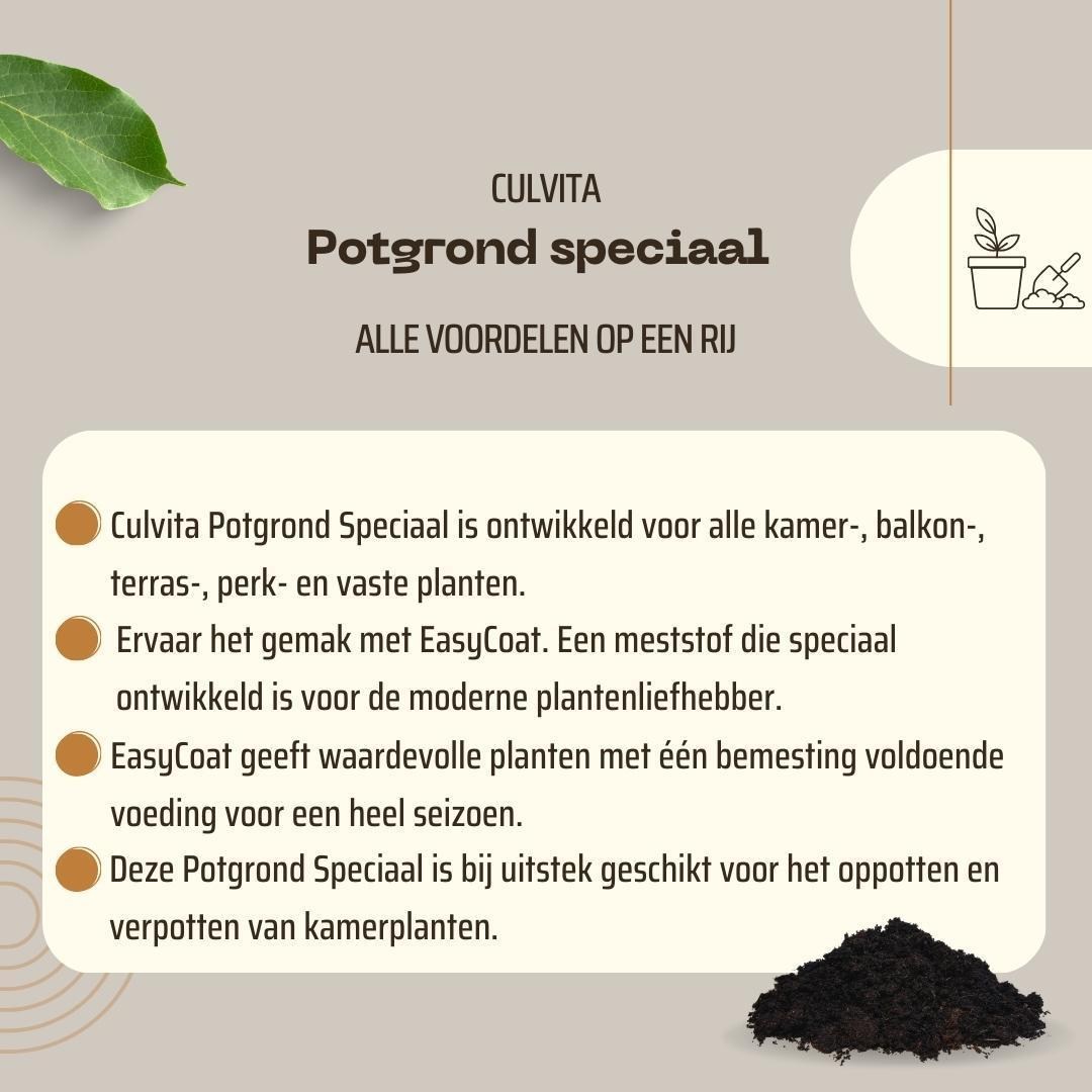 Blumenerde Spezial mit 6-Monats-Nährstoff 40 Liter - Culvita