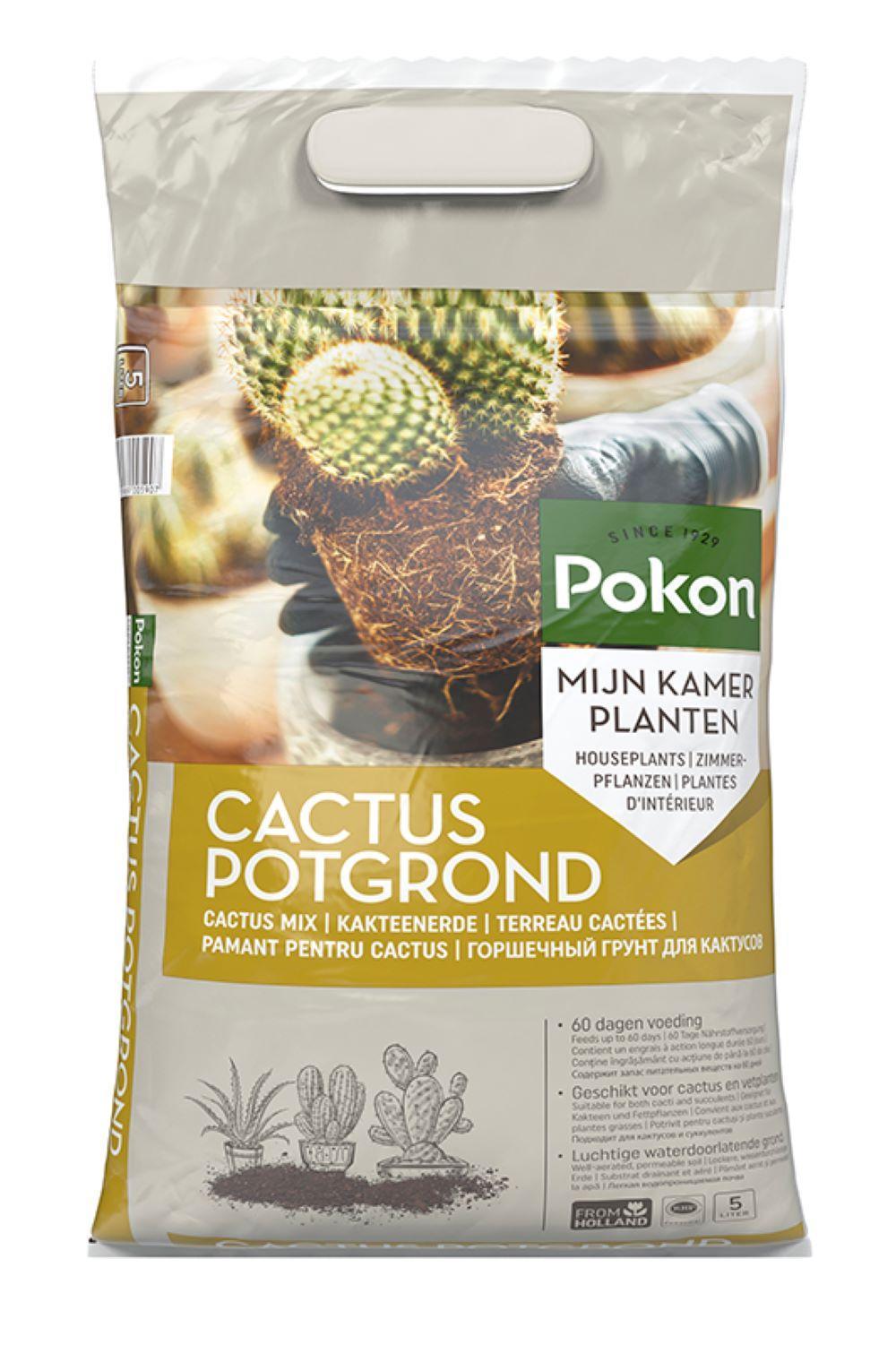 Pokon Blumenerde für Kakteen und Sukkulenten, 5 l