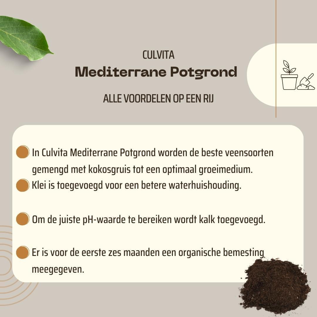Mediterrane Blumenerde mit RhizoPlus – 40 Liter – Culvita