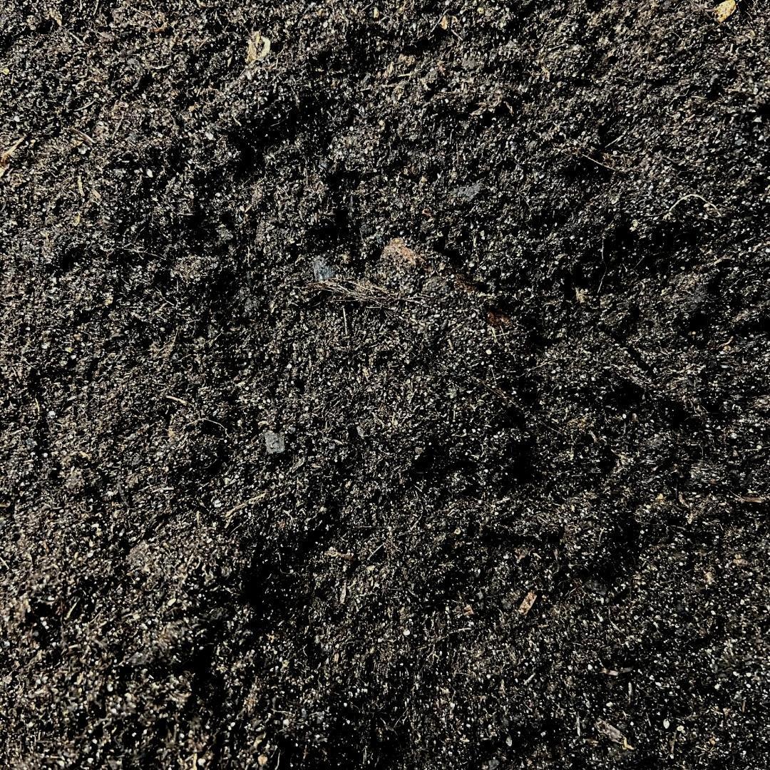 Kakteenerde 5 Liter – Blumenerde geeignet für Kakteen und Sukkulenten