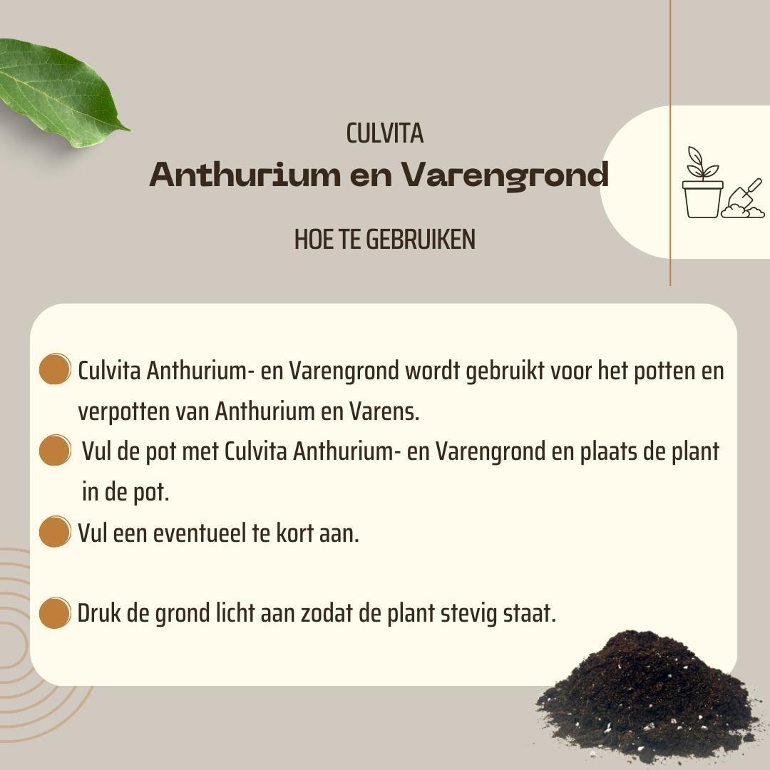 Anthurium en Varengrond 5 liter - potgrond geschikt voor Anthurium en Varens - Culvita