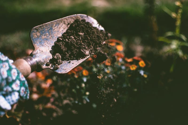 Het Belang van Goede Aarde: Biologische Moestuingrond