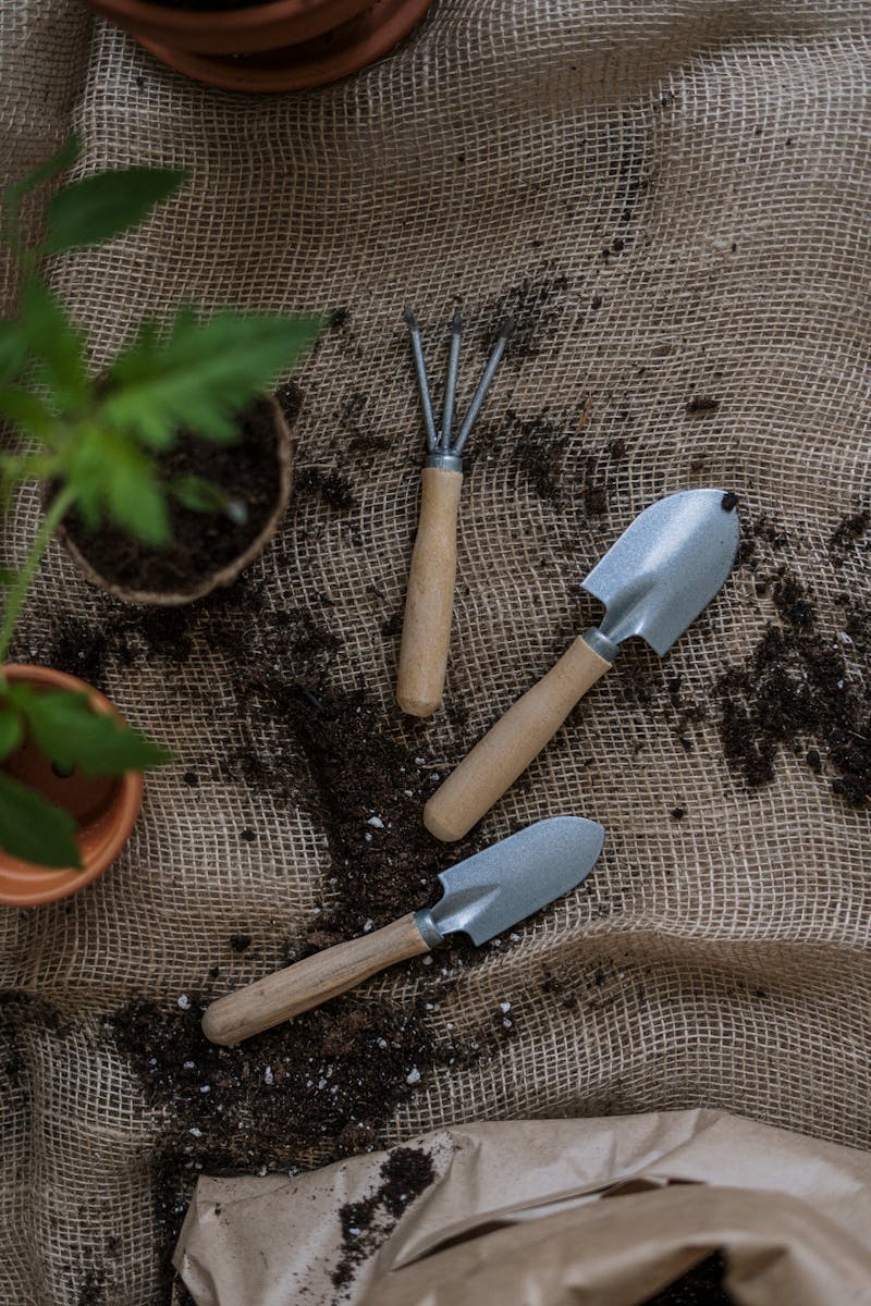 Hoe je Nieuwe Aanplant Een Vliegende Start Geeft met Culvita Aanplantgrond