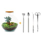DIY terrarium - Bolder Bob Bonsai - ↕ 30 cm - Rake + Shovel + Tweezer + Scissors