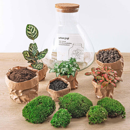 DIY terrarium - Sam XL Rood - ↕ 35 cm - Rake + Shovel + Tweezer
