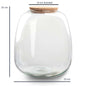 Terrarium bottle 'Emma' 25x23 cm - Glas