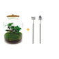 DIY terrarium - Lukas - ↕ 33 cm - Rake + Shovel