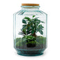 DIY terrarium - Botanical garden XL - ↕ 35 cm - Normal