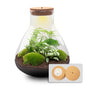 Terrarium - Sam XL + LED - ↑ 32 cm - DIY