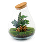 DIY terrarium - Drop XL Rood - ↕ 37 cm - Rake + Shovel + Tweezer