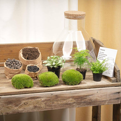 Terrarium - Sam XL + LED - ↑ 32 cm - DIY