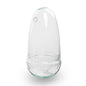 Gesloten terrarium - Bolglas - Stolp - Egg - Ei-vorm - ↑ 26 cm
