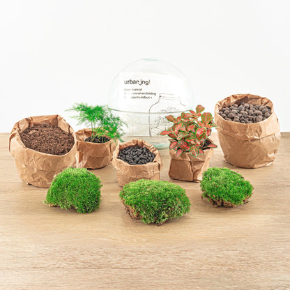 DIY terrarium - Dome Red - ↕ 20 cm - Rake + Shovel + Tweezer