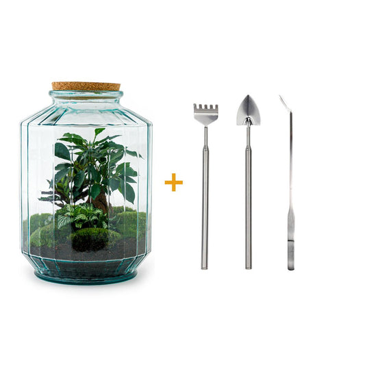 DIY terrarium - Botanical garden XL - ↕ 35 cm - Rake + Shovel + Tweezer