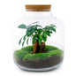 DIY terrarium - Billie Bonsai - ↕ 29 cm - Rake + Shovel + Tweezer + Scissors