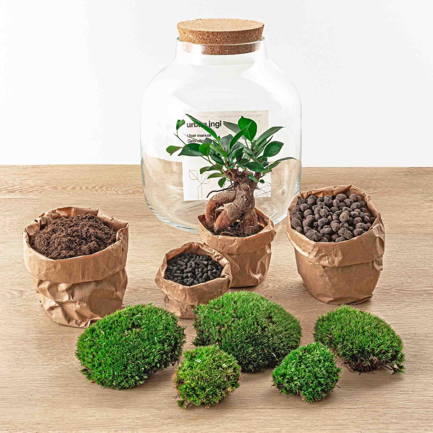 DIY terrarium - Billie Bonsai - ↕ 29 cm - Rake + Shovel + Tweezer + Scissors