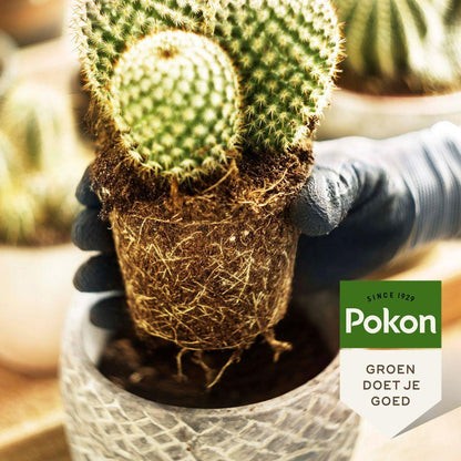 Pokon Blumenerde für Kakteen und Sukkulenten, 5 l