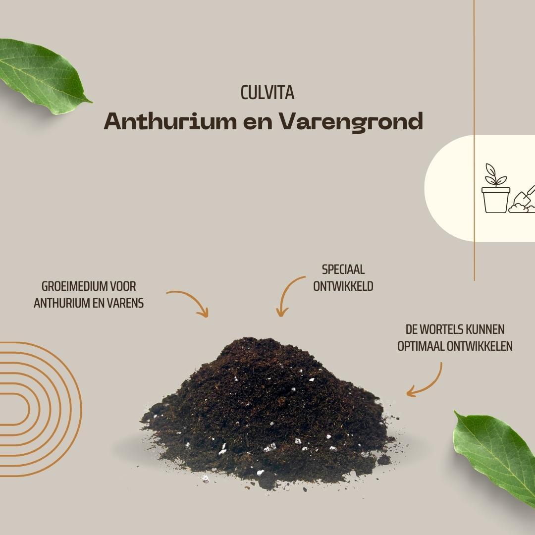 Anthurien- und Farnerde 5 Liter – Blumenerde geeignet für Anthurien und Farne – Culvita