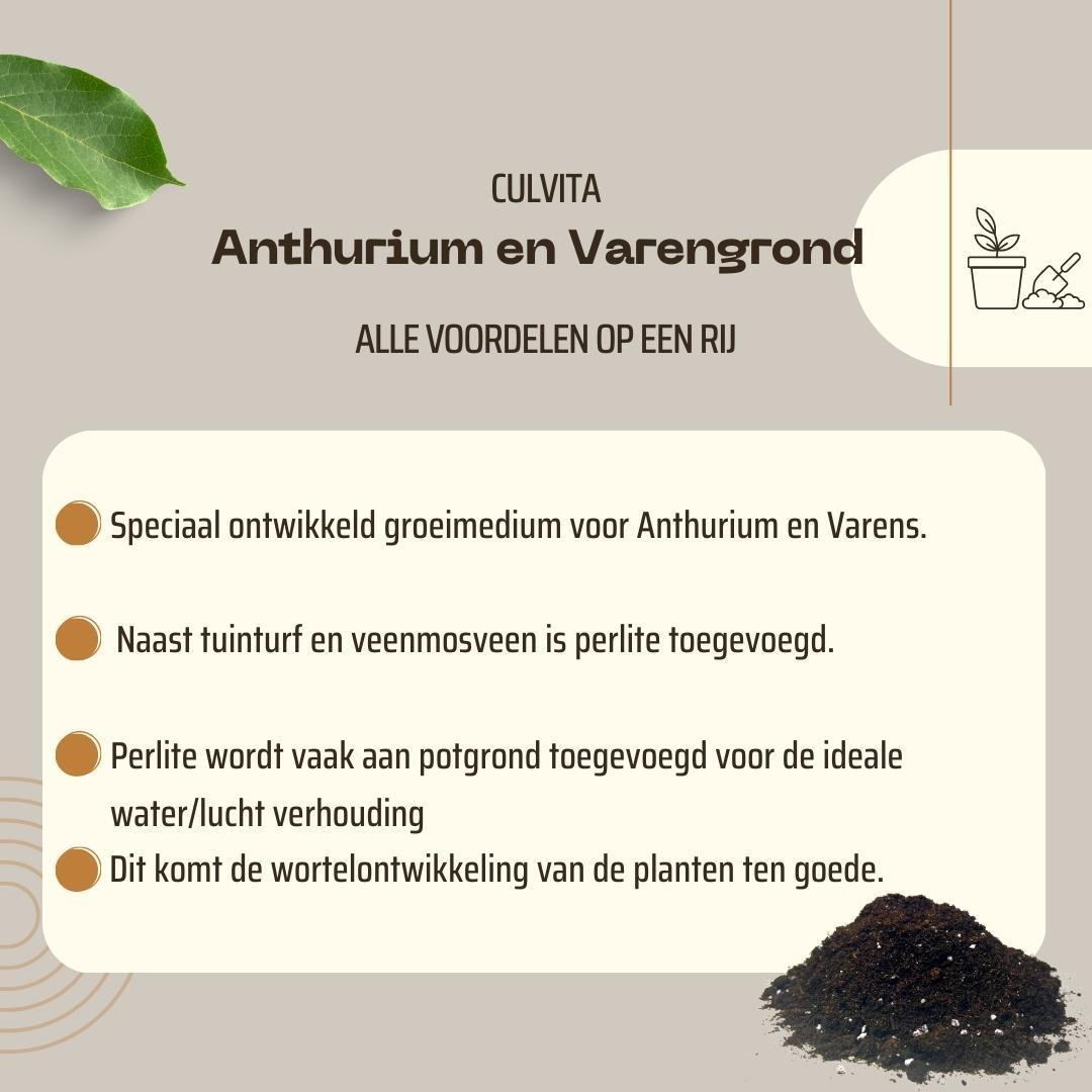 Anthurien- und Farnerde 5 Liter – Blumenerde geeignet für Anthurien und Farne – Culvita