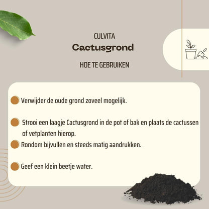 Kakteenerde 5 Liter – Blumenerde geeignet für Kakteen und Sukkulenten
