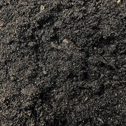 Kakteenerde 5 Liter – Blumenerde geeignet für Kakteen und Sukkulenten